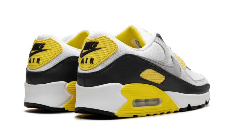 Nike Air Max Air Max 90 'White Lightning'